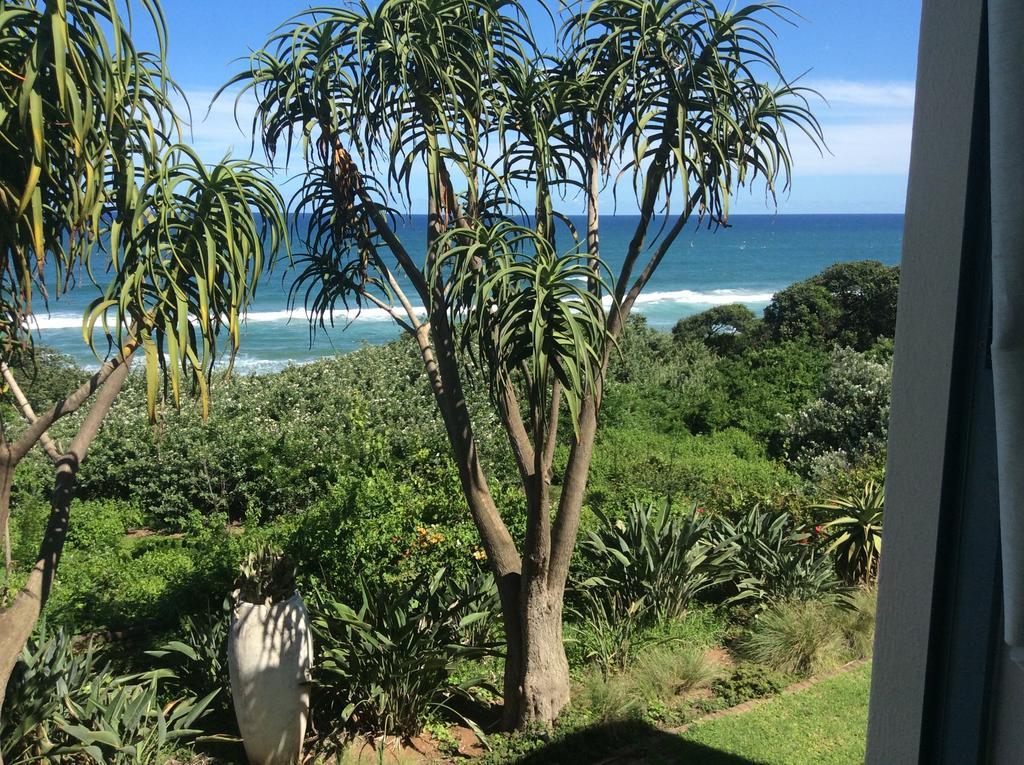 Misty Blue Bed And Breakfast Durban Quarto foto